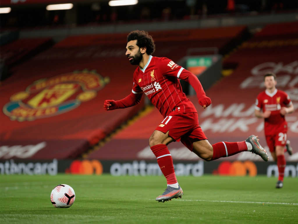 了解裁判的 了解裁判的