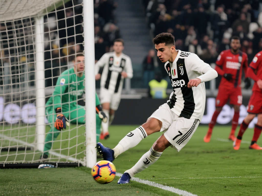 与巴西球星 与巴西球星