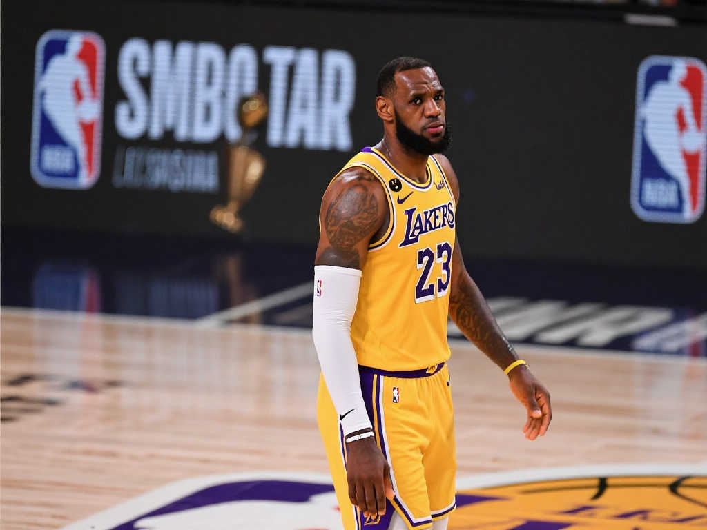 他们不仅是 他们不仅是