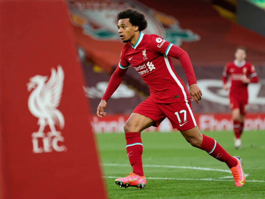 是全队默契 是全队默契